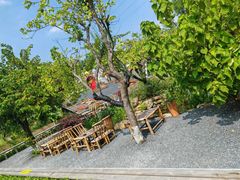 -一品烧农庄·佛山本地特色菜