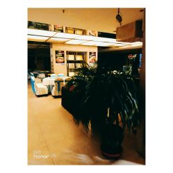 -鑫淼餐饮娱乐中心(江东街店)