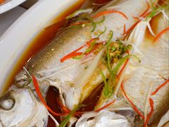-丹水桥地锅鱼·翘嘴鲌·地方特色全鱼宴(丹江口大坝店)