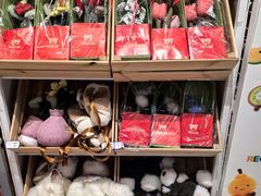 -TOYSRUS玩具反斗城(苏州中心店)