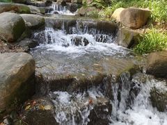 -中国茶叶博物馆(双峰馆区)