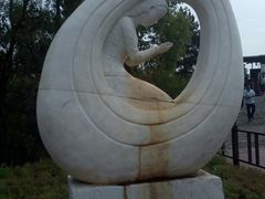 -北药泉