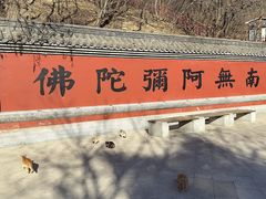 -青岩寺风景区