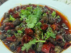 -万州烤鱼江湖菜(圣地阳光店)