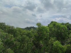 -爱丽馨御景月子中心