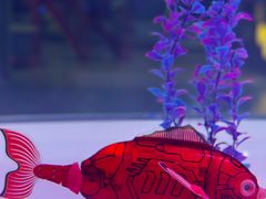 -东莞市科学技术博物馆
