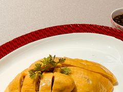 -圆苑(静安寺店)