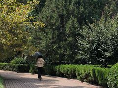 -山东师范大学(千佛山校区)