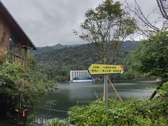 -江西阳明山国家森林公园