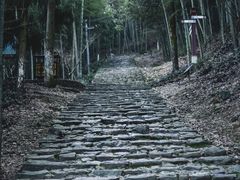 -仙霞关景区