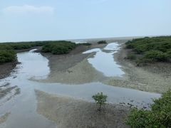 -北海金海湾红树林生态旅游区