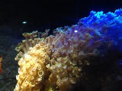 iphone_upload_pic-郑州海洋馆