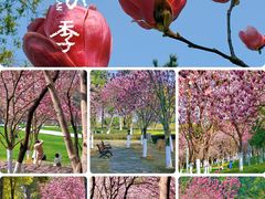 -重庆中央公园(渝北区)
