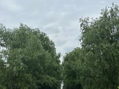 -安顺旧州古镇