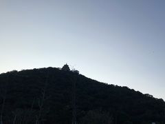 -黄贤森林公园