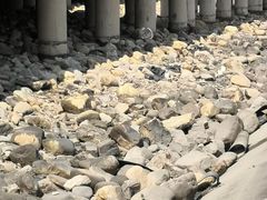 -东疆建设开发纪念公园