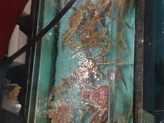 -西贝海鲜汇(槐安路店)