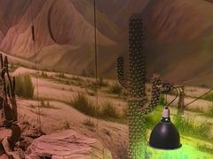 -正佳雨林生态植物园