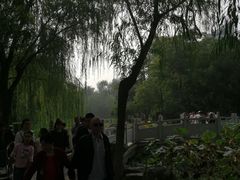 -莲湖公园