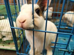 -呼吸森林·生态农庄农家乐私房菜