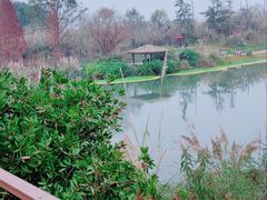 -桤木河湿地公园