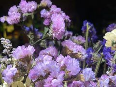-胡桃里音乐酒馆(海雅缤纷城店)