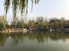 -燕郊植物园