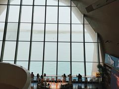 -抱抱地球咖啡馆(国家海洋博物馆店)