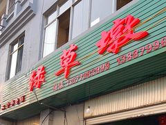 -绿草墩