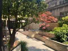 -Willing·Coffee&Brunch&Dinner(万达店)