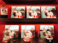 -光海书局(南京东路第一百货店)