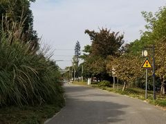 -梁鸿国家湿地公园