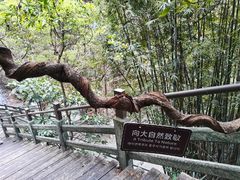 -四会奇石河风景区