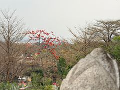 -广州莲花山旅游区