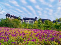 -清远熹乐谷温泉度假酒店