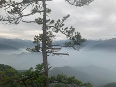 -西安祥峪森林公园