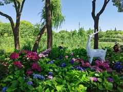 -无锡蠡湖国家湿地公园-蠡园