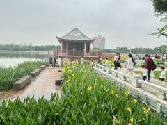 -顺峰山公园
