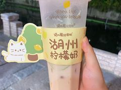 -猫的魔法密林(衣裳街店)