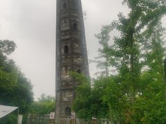 -上海佘山国家森林公园天马山园