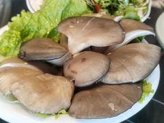 鲜平菇-常赢三兄弟·清真涮肉·清真炒菜(朝阳新城店)