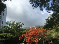 -海南热带海洋学院(三亚校区)