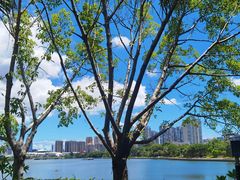 -白鹭洲公园