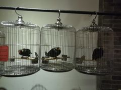 自助取餐区-那家小馆•北京菜•烤鸭(中关村店)