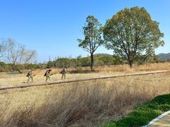 -河姆渡遗址博物馆