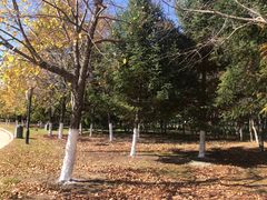 -长春世界雕塑园冰雪艺术天地