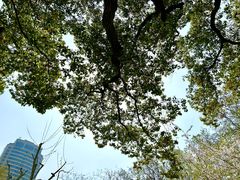 -徐家汇源景区-衡山公园