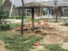 -太原动物园