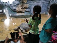 -石家庄市动物园