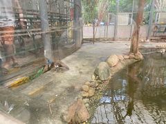 -厦门园林博览苑